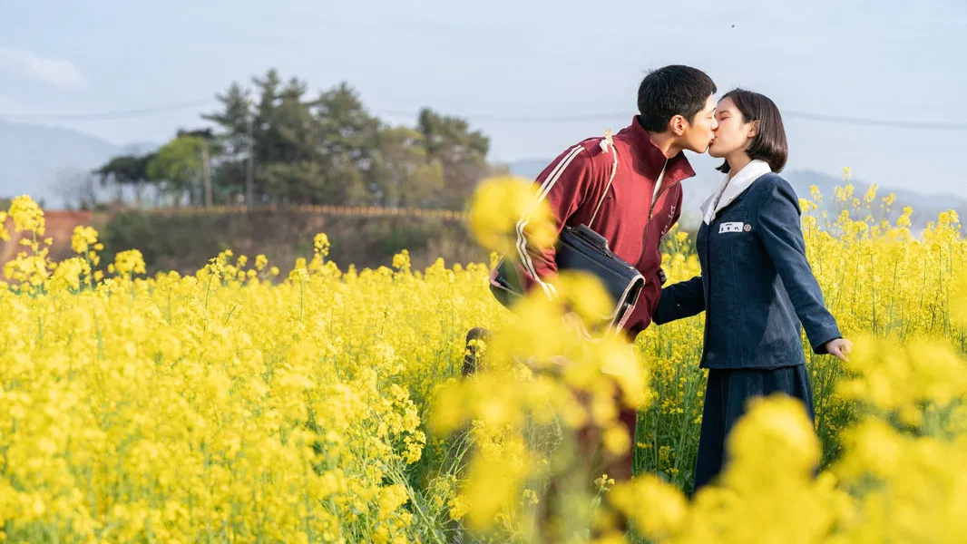 When Life Gives You Tangerines