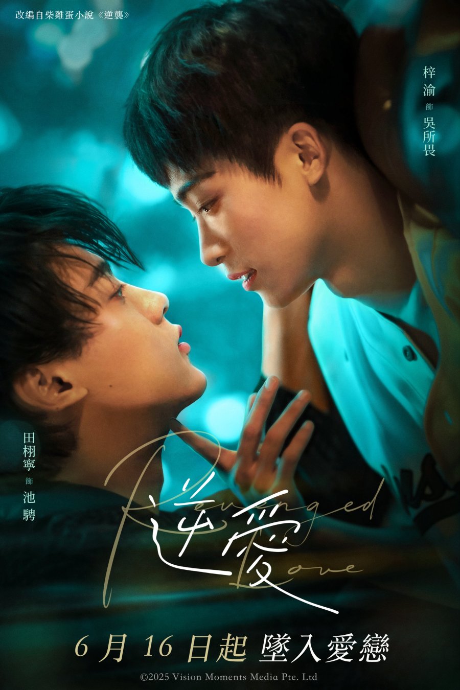 Revenged Love