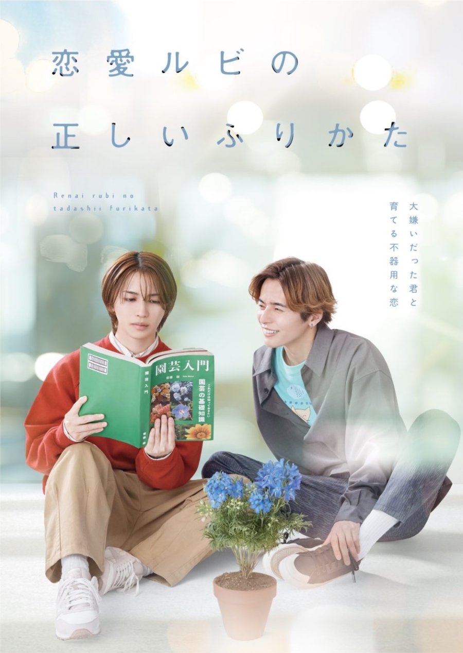 Renai Rubi no Tadashii Furikata