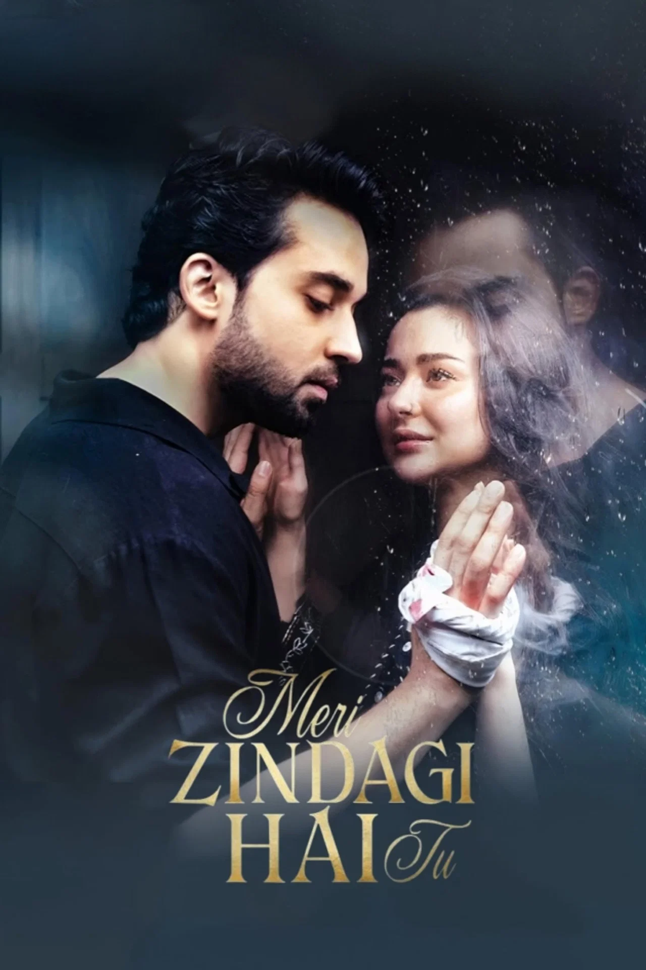 Meri Zindagi Hai Tu